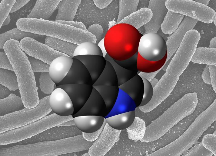 Metabolite Indole-3-Acetate from Gut Bacteria Mitigates Inflammation