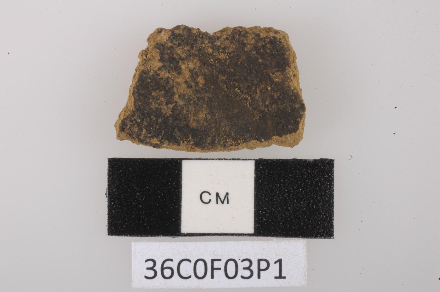 Pottery Remnant with Nutmeg Residue