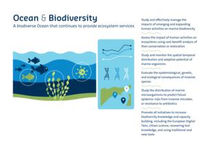 Ocean and Biodiversity Recommendations