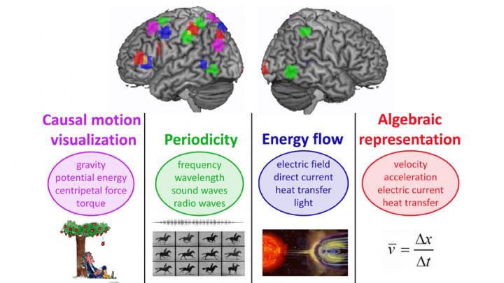 How the Brain Repurposes Itself To Learn Scientific Concepts