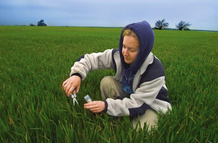 Berkeley Lab soil carbon