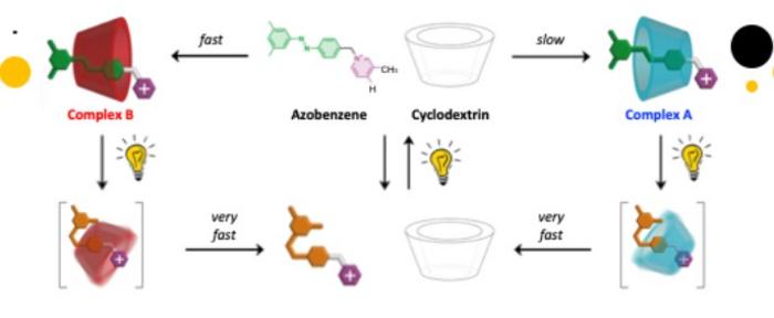 Schematic diagram of the self-assembly of cyclodextrin-azobenzene complexes