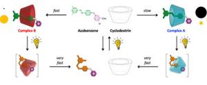 Schematic diagram of the self-assembly of cyclodextrin-azobenzene complexes