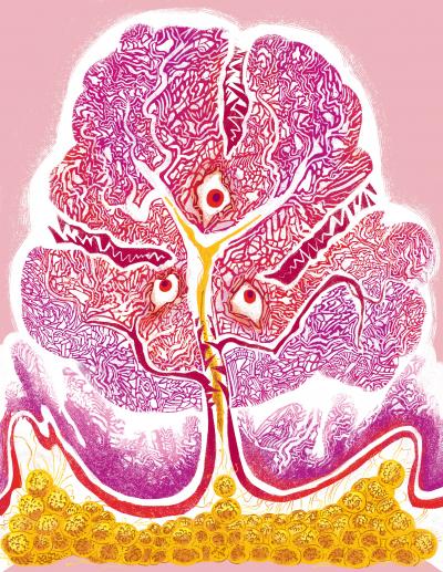 James Thomson, University of Wisconsin-Madison