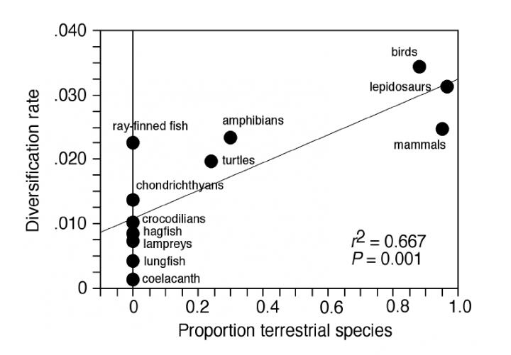 Diversity and proportion of terrestrial species