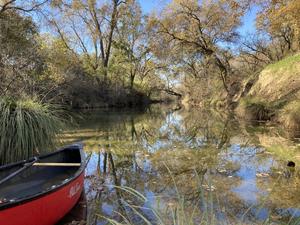 Putah Creek in fall salmon spawning season