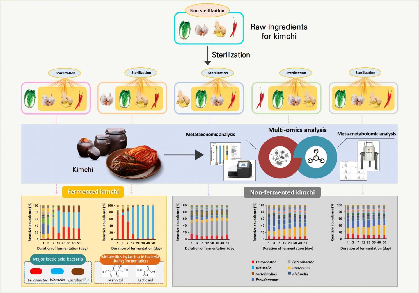 lactic acid fermentation products