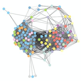 Defining Immune Cell Interactions in the Tumor Microenvironment