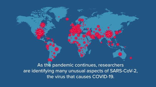 How the SARS-CoV-2 Virus Promotes Pain Relief