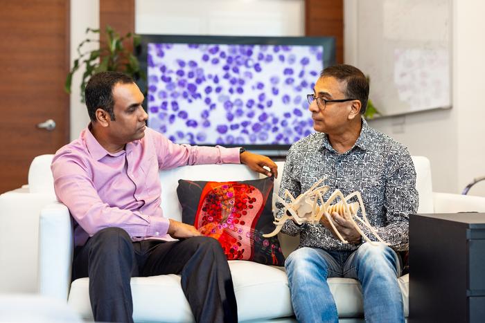 Malaria protein discovery offers path for novel antimalarial intervention strategies