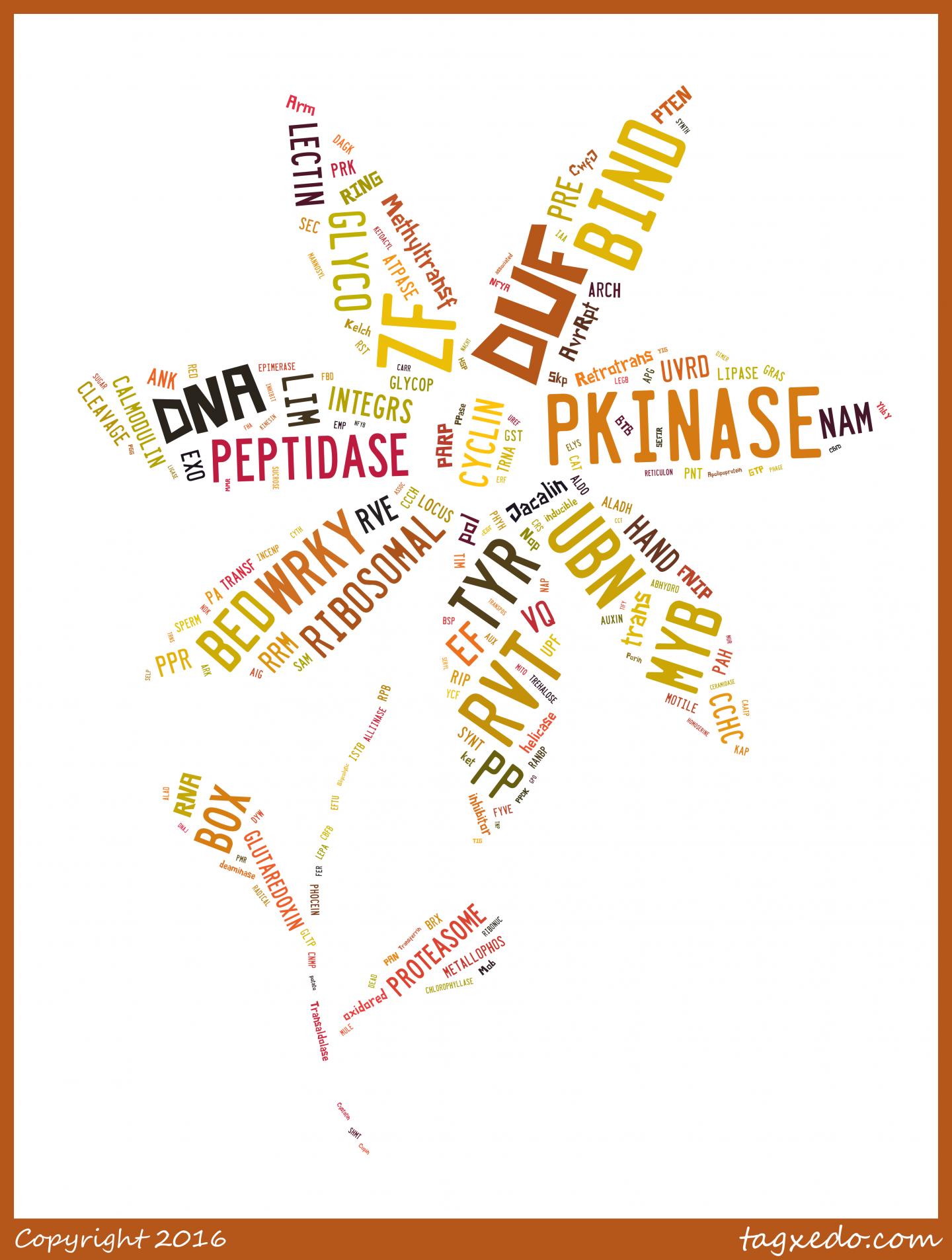 Immunity Gene Fusions Uncovered in Plants
