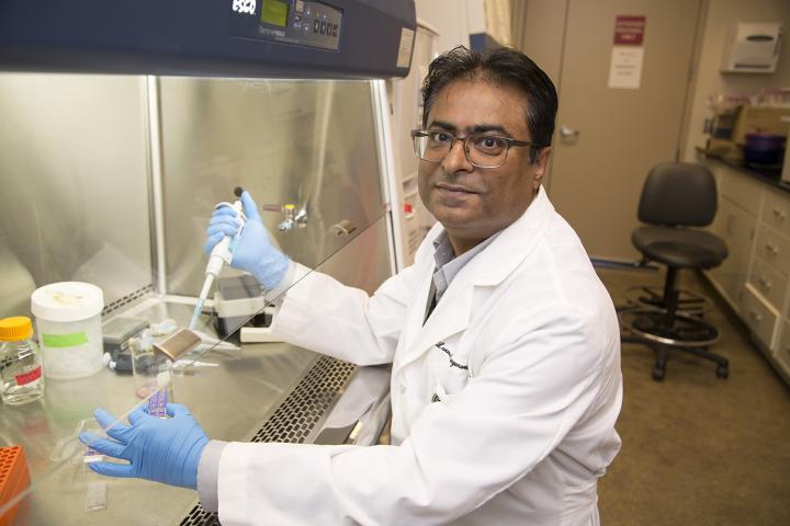 Laxman Gangwani, Ph.D.