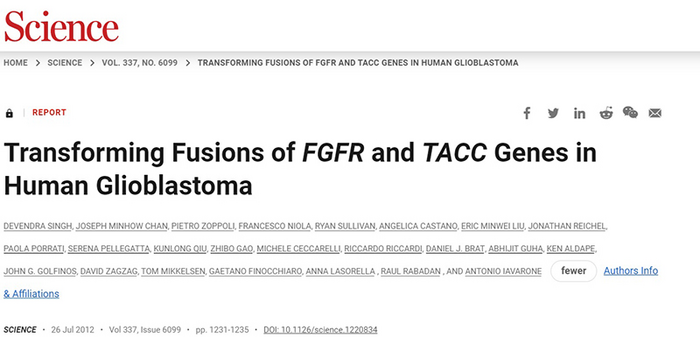 Transforming FGFR-TACC gene fusion induces malignant glioblastoma