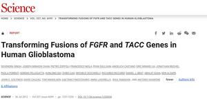 Transforming FGFR-TACC gene fusion induces malignant glioblastoma