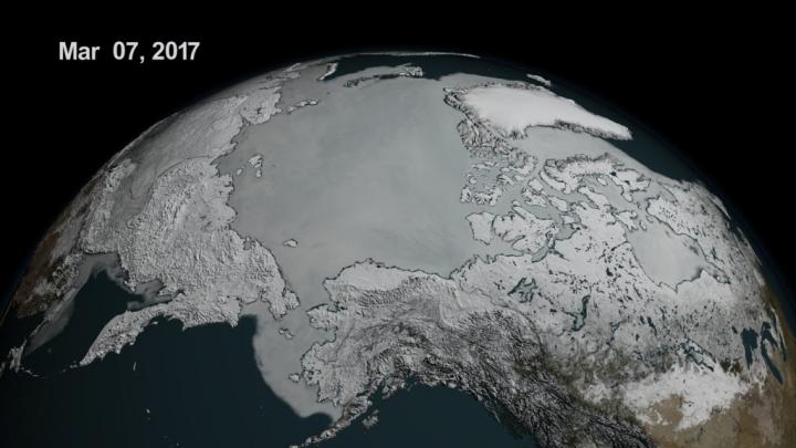 Visualization of Arctic Sea Ice Cover