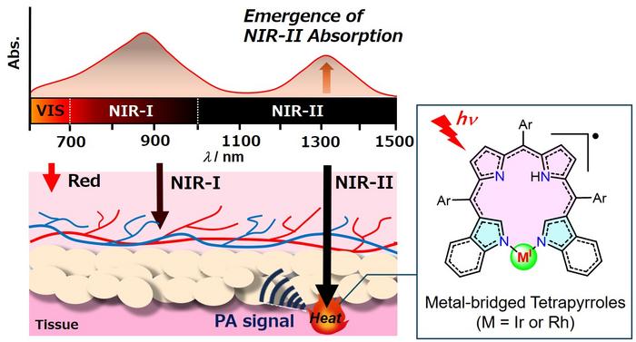 New radicaloid structure for second near-IR absorption.