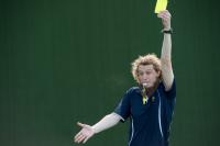 Blowing the whistle on referee decisions | EurekAlert!