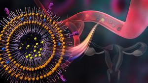 Polymersome with MTX