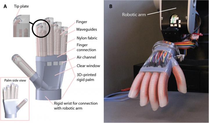 Innervated Prosthetic Hand