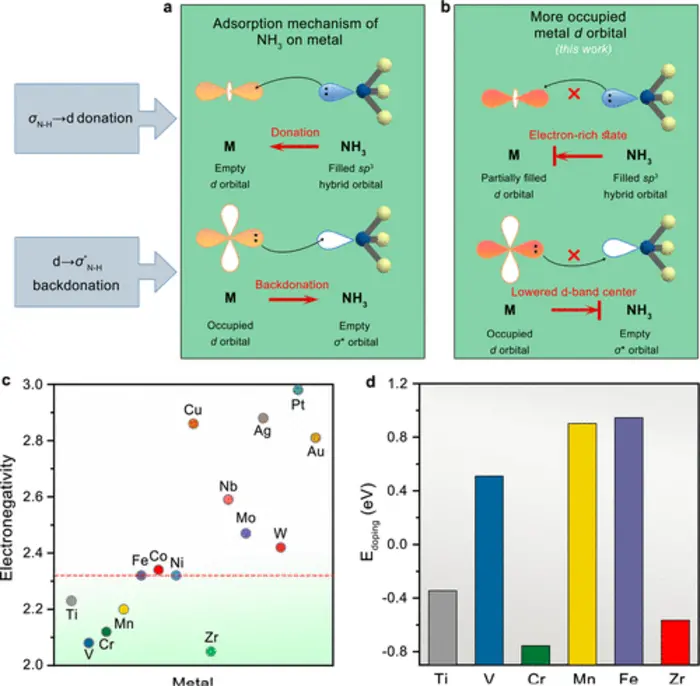 Efficient NH3-Tolerant Nickel-Based Hydrogen Oxidation Catalyst for Anion Exchange Membrane Fuel Cells