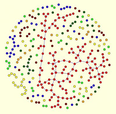 Random Network