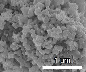 Scanning electron microscope image of CMO powder