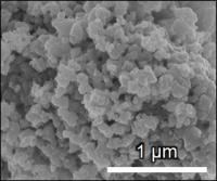 Scanning electron microscope image of CMO powder