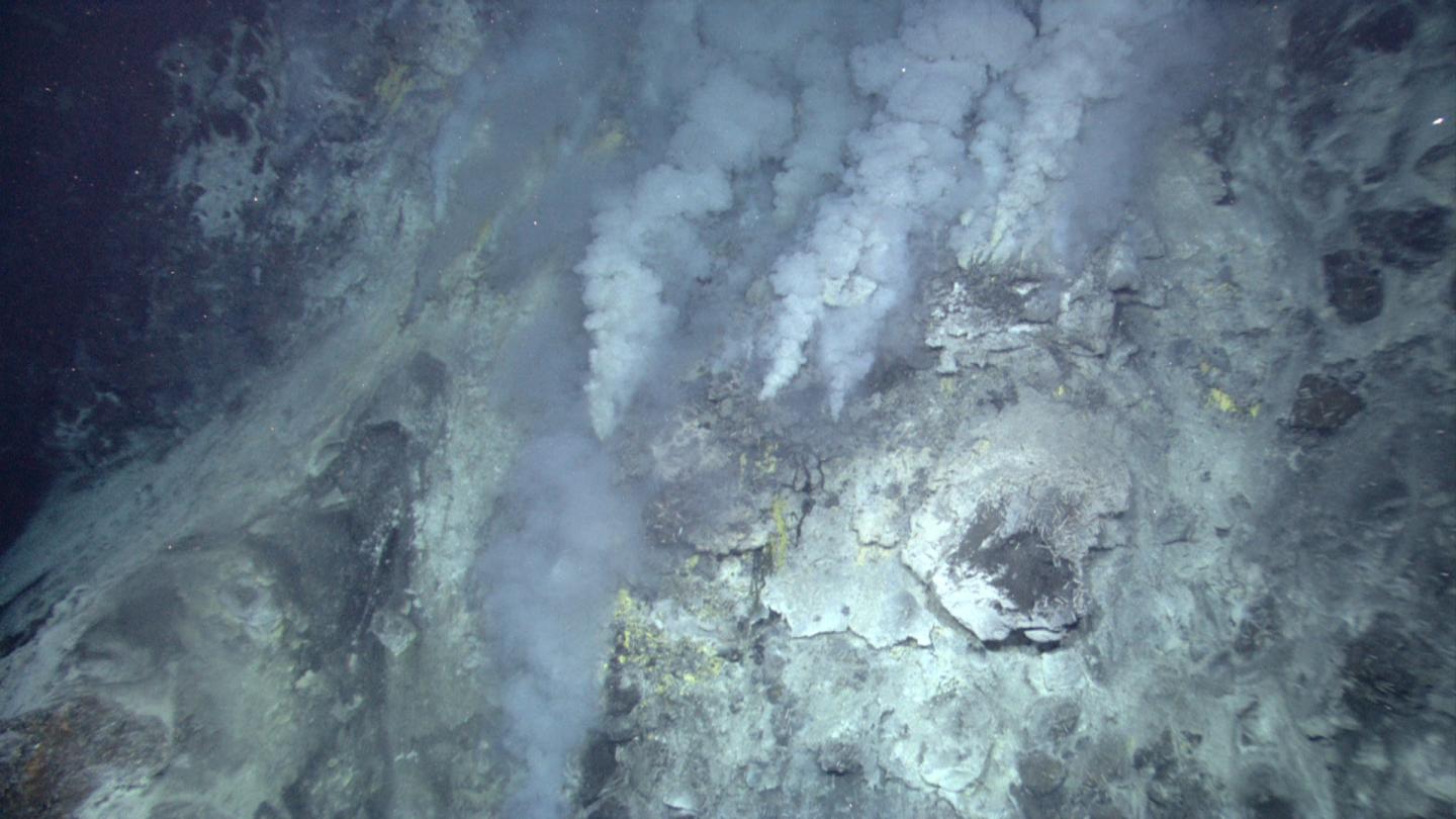 Deep Ocean Hydrothermal Vent