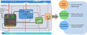 graphical abstract