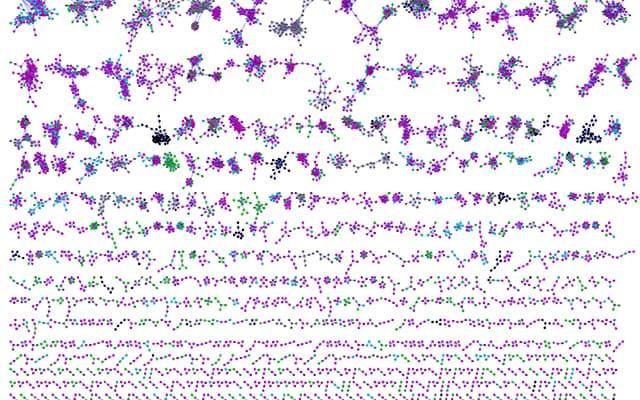 Molecular Map of Mice, University of California San Diego