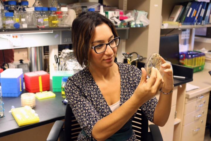 Houra Merrikh UW Medicine