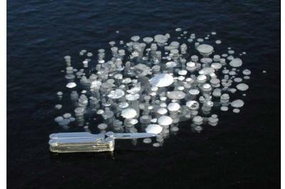 Frozen Methane Bubbles