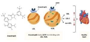 Anacetrapib mode of action