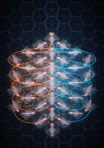 Giant chiral magnetoelectric oscillations