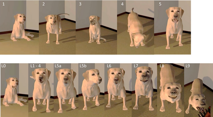 DAVE: Behaviours in the non-reactive (1-5) and aggressive (L0-L9) scenarios.