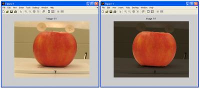 Computer Identifies Apple Appeal