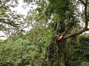 Forest biodiversity research