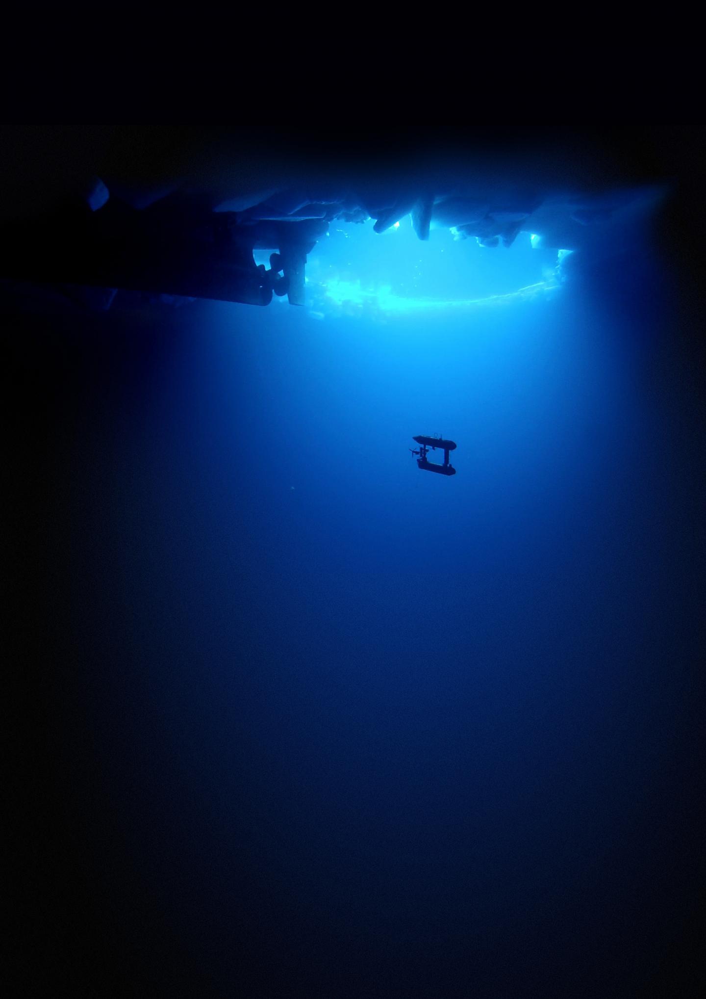 AUV Under Water