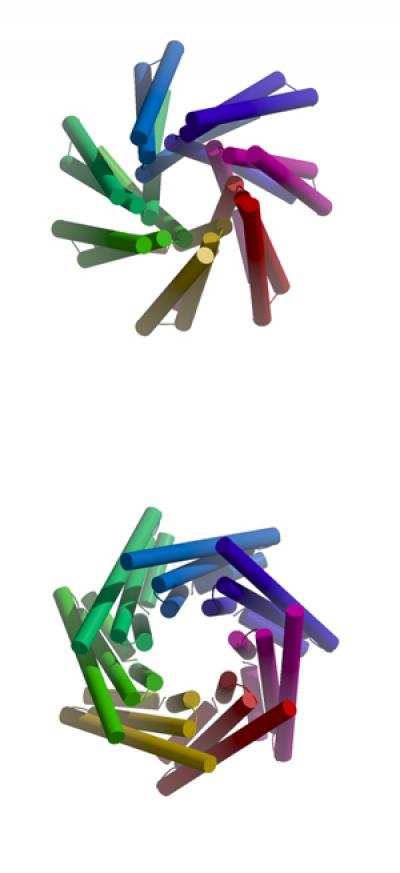 Mechanosensitive Channel in <I>E. coli</I> in Closed and Open Positions