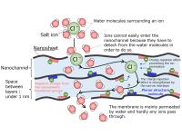 Figure 2: Diagram of the membrane