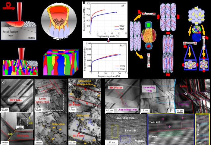 Recrystallization induced by heat treatment regulates the anisotropic behavior of CoCrMo alloys fabricated by laser powder bed fusion