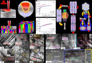 Recrystallization induced by heat treatment regulates the anisotropic behavior of CoCrMo alloys fabricated by laser powder bed fusion