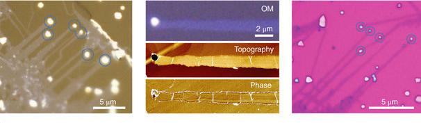 MoS2 Ribbons Grown on a NaCl Crystal