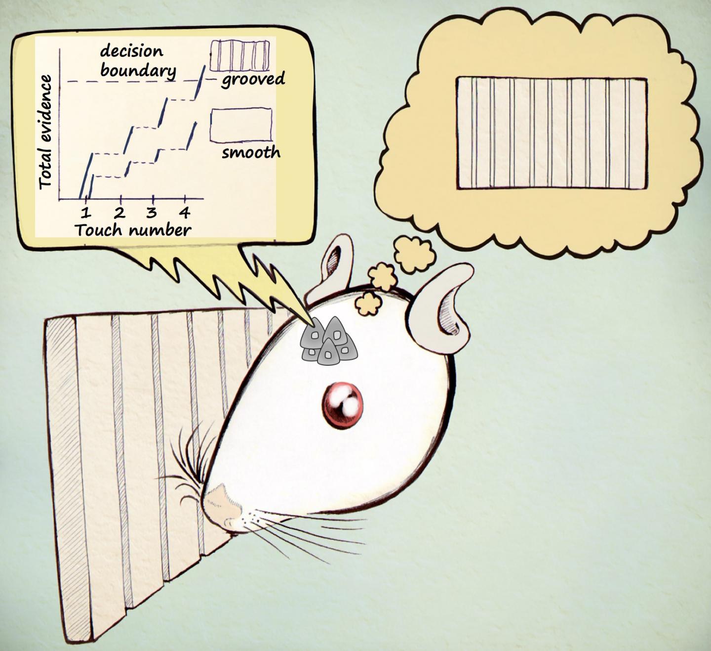 When Is Enough Enough?