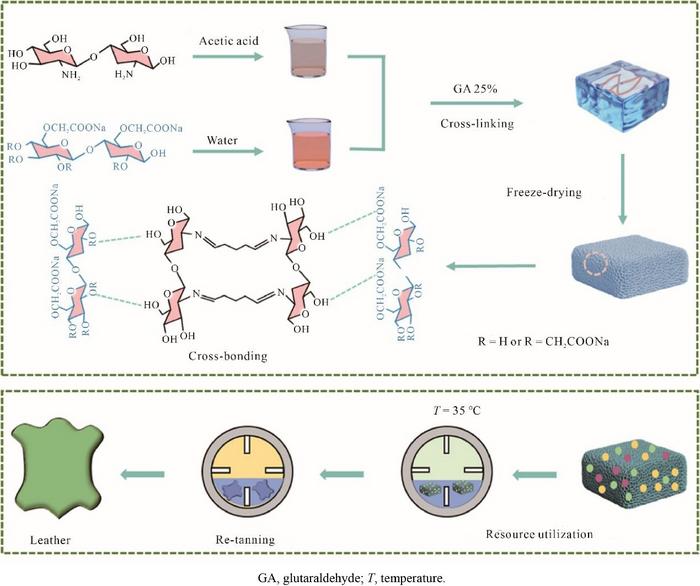 Innovative Aerogel Transforms Tannery Waste into Leather Industry Resource