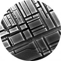 Grid Pattern of Oxidation Stripes Push Atom-High Steps out of Way