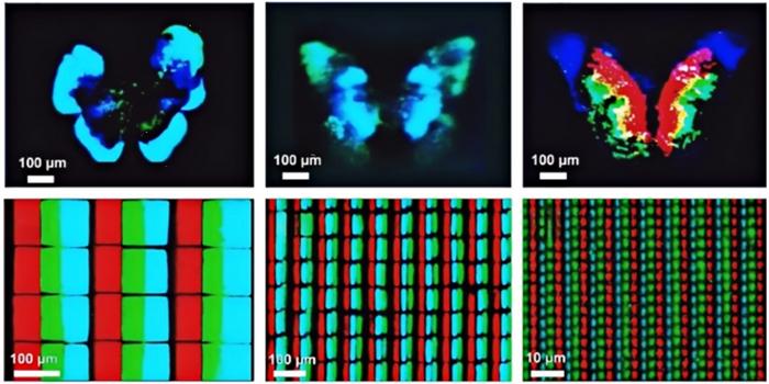 Red, Green, and Blue Primary Color Displays Achieved by Femtosecond Laser-Induced Perovskites.