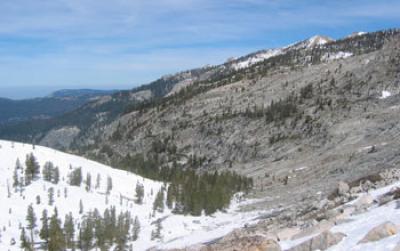 Photo of a Sierre Nevada Forest in Sequoia National Park