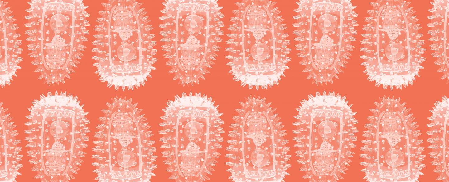 Cover Page of malERA Refresh Special Collection