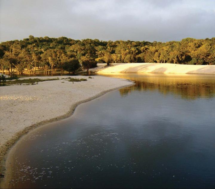 Negro River Tributary